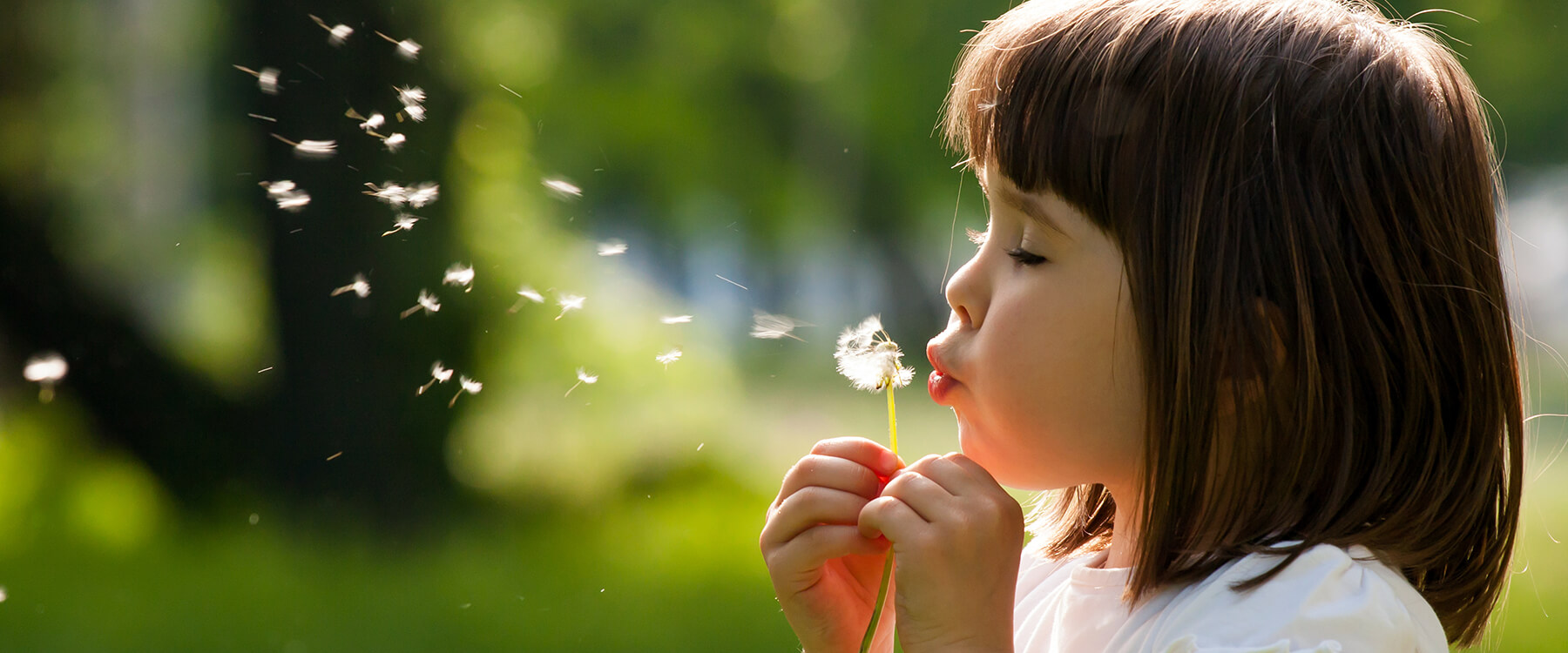Young Girl Blowing a Dandelion